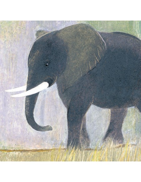 Coffret Une histoire de singe