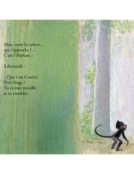 Coffret Une histoire de singe