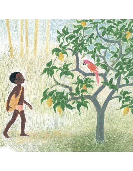 Coffret L'oiseau de pluie