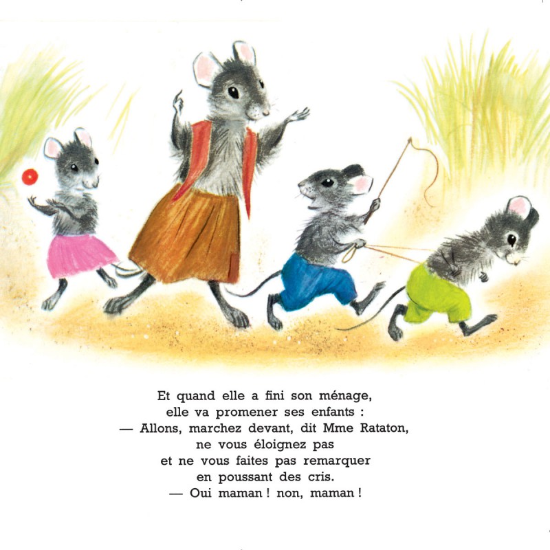 Coffret La famille Rataton