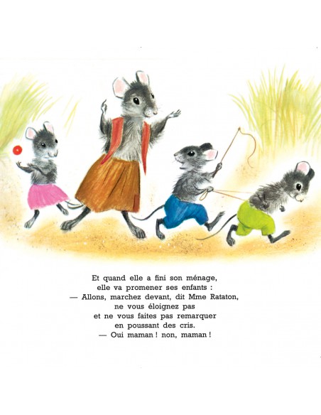 Coffret La famille Rataton