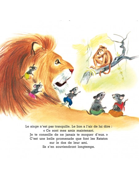 Coffret La famille Rataton